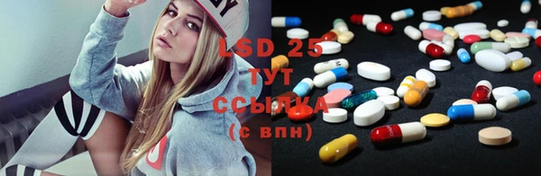 сатива Абинск