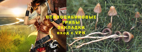 сатива Абинск