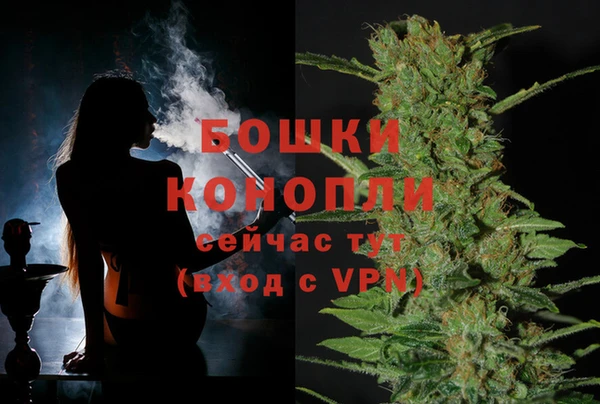 сатива Абинск