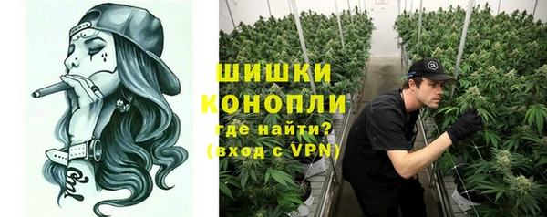 сатива Абинск